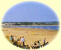 devon coast