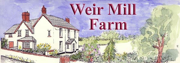 Bed and Breakfast B&B Cullompton nr M5